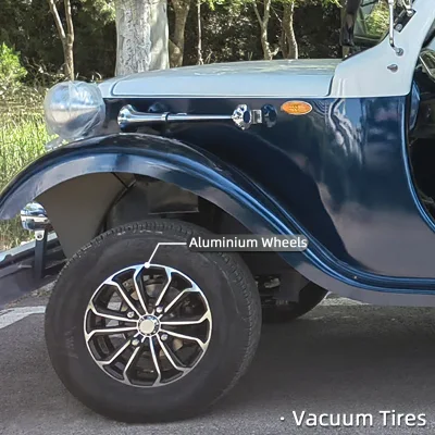 Mejor color libre personalizado 8 asientos Turismo EV Transporte turístico Vintage autobús utilitario vehículo Tour eléctrico motorizado Potencia clásica Retro Precio de venta de automóviles