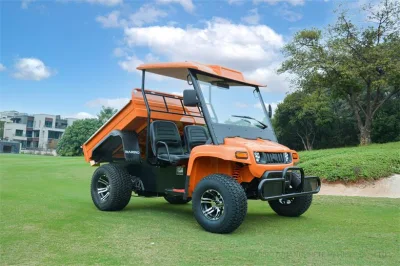 Venta caliente off-road de la utilidad de Mini vehículo agrícola ATV con 2 plazas