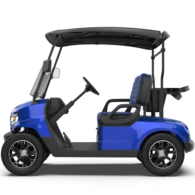 2022 Nuevo Diseño CE en el camino de la calle de personalización de la seguridad jurídica de la batería de freno hidráulico de luz LED de 2 asientos de carros de golf eléctrico