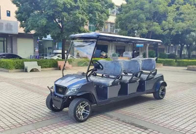 Buen servicio de exportación de embalaje 3-4 China Gas Best Electric Carts Carrito de Golf