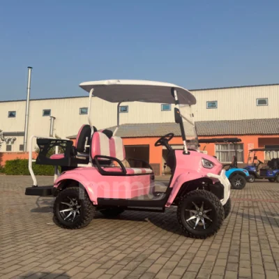 Precio 4 asientos fuera de carretera icono rápido Calle Legal Chino Mini carrito turístico Club de Golf eléctrico a la venta
