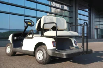 CE aprobada alimentado con batería de carro/coche de golf en venta