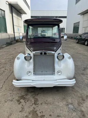La alta calidad jurídica de la calle Certificado CE clásico coche eléctrico visitas