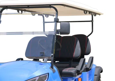 El bastidor de acero eléctrico curso Dachi 3680*1350*2100mm China Alquiler de carro de golf