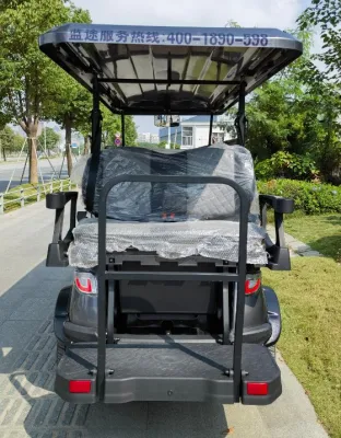 5kw asientos Golf Car 6 Motor de suspensión independiente disco de freno Dirección asistida neumáticos de 14 pulgadas Carro de Golf eléctrico