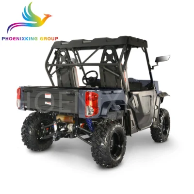 Delphi EFI fuera de carretera 2 asientos Farm Utility lado del vehículo Por lado 800cc 4X2 4X4 Buggy UTV para la venta