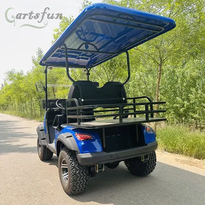 2024 Scooter eléctrico/ gasolina Cart 4 6 seater icono usado Carros de golf con gas y personalización gratuita