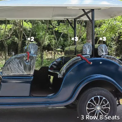 Mejor color libre personalizado 8 asientos Turismo EV Transporte turístico Vintage autobús utilitario vehículo Tour eléctrico motorizado Potencia clásica Retro Precio de venta de automóviles