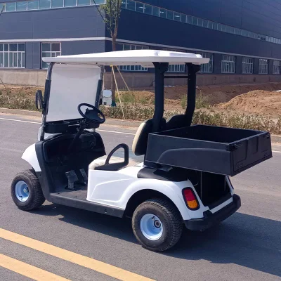 CE Road Legal Golf Carts / batería de litio eléctrico Golf Carts