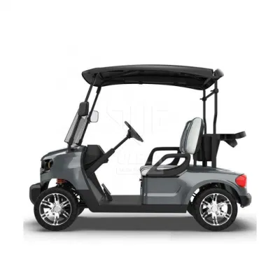 Carrito de golf Ulela MFG 20-30 km/H Max Speed Golf Electric Carrito China 2 asientos personal Golf Cart