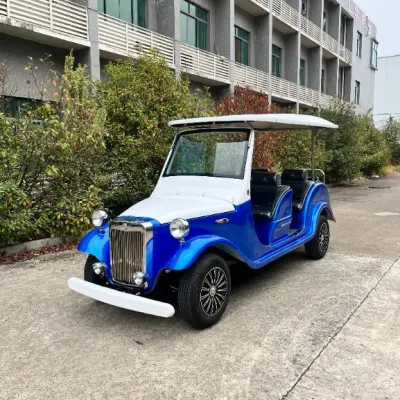 6 asientos coche eléctrico de visita Precio Custom Vintage Classic Golf Carro de visita turística Patrulla de coches