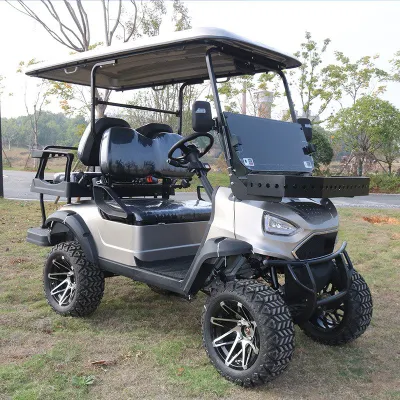2023 60V 5000W 2 pasajeros UTV Golf Cart con grande Compartimentos de almacenamiento