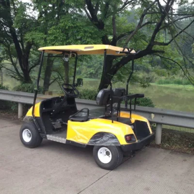 Precios eléctrico Golf Cart vehículo turístico clásico 4X4 Drive Electric Coches de caza con CE