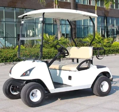 Mayorista Nuevo dos personas 42V/72V pequeño Mini 4 Carro de rueda Carro de Golf de coches eléctricos vehículo eléctrico con 2 asientos viento Precio bajo de venta de Shield (DG-C2-5)