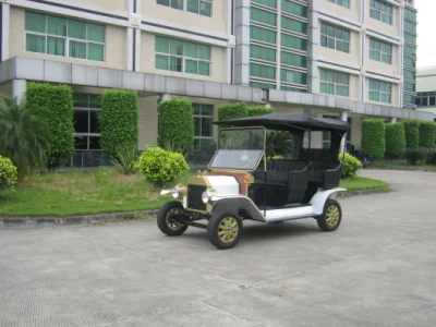 Diseño único Popular motor de CA 5kw Classic de golf del vehículo BUGGY ELÉCTRICO