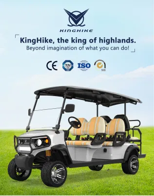 Terrfic bonito 5kw carros eléctricos del vehículo Buggy Buggies Carrito de golf