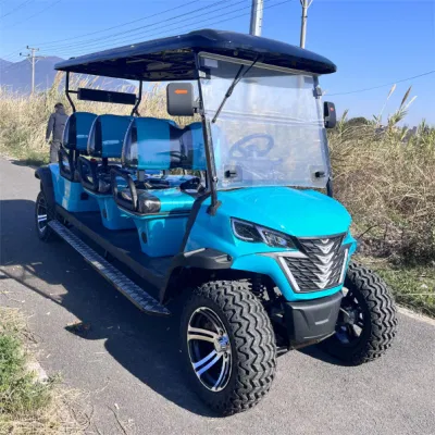 Carrito de golf de gasolina, todoterreno, utilitario, coche turístico de 4 ruedas, carrito de golf Recepción de fábrica del hotel