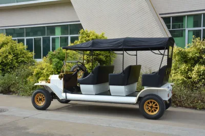 Club bonito coche accionado por batería eléctrica de carros de golf Golf Buggy coche clásico con la certificación CE