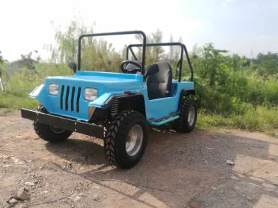Diseño de flujo de potencia de la gasolina Mini Golf Buggy 200cc para adultos