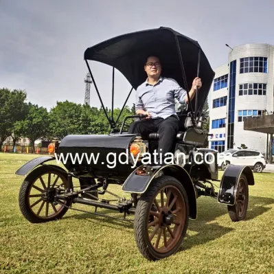 Custom Vintage Electric 4 asientos carritos de golf con asiento de atrás para la venta con la certificación CE