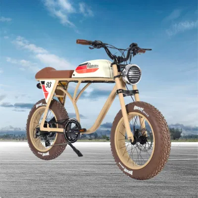 Off Road bicicleta eléctrica para el icono de la moda retro Ebike City Road Bike hombre 750W en bicicleta con suspensión de la horquilla delantera