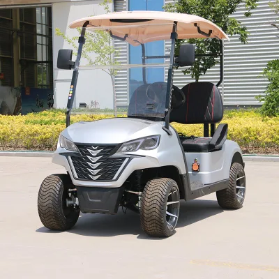 Super calidad Golf Buggy 2 asientos Forge G2 Electric Golf Carro