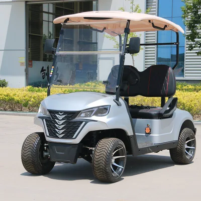Super calidad Golf Buggy 2 asientos Forge G2 Electric Golf Carro