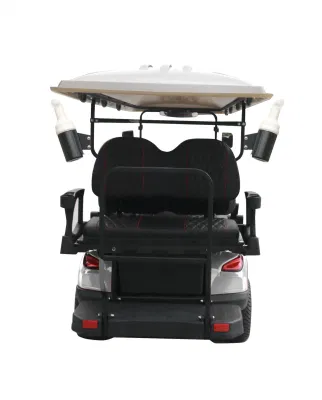 Mayorista de Garantía de calidad de Alto rendimiento personalizado Golf Buggy Electric 4 Asientos Forge 2+G2 Carro de Golf