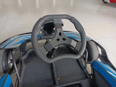 Cool adulto Karting Motor Cubo de 3000W Carrito de go karts carrera eléctrica