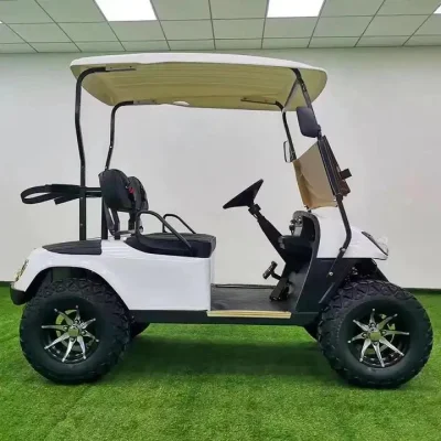 1670mm campo de golf, Zona turística, Villa, Parque de atracciones Kinghike Mini coche eléctrico Buggy