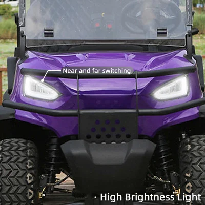 Precio de fábrica cuatro ruedas 4kw AC Motor 4+2 6 plazas Western Golf Electric Power Carts