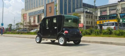 5 asientos eléctricos de pasajeros coches nuevos EV para la venta caliente Venta de bajo Precio cómodo estilo vehículo Adulto Mayoristas