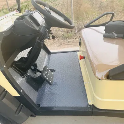 Autobús turístico de la energía eléctrica al estilo occidental, carrito de golf de 2 asientos