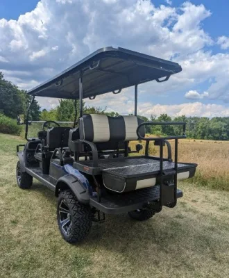 Carrito de Golf de descuento de Niza de fábrica directa con poder fuerte Y batería de litio