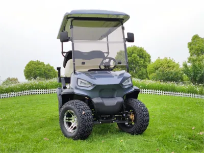 2 asientos 110ah 72V Calle Legal cerrado Carro de Golf con APROBADO POR DOT