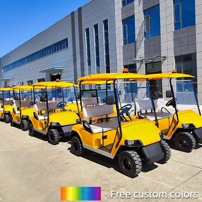 El chino Electric 30km/h pequeña utilidad Lsv curso deporte motorizado Automóvil Club de Golf eléctrico blanco Precio carro