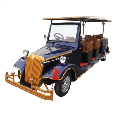 Turismo Turismo multifuncional Classic de golf eléctrico bastidor de aluminio con el coche fantástico precio