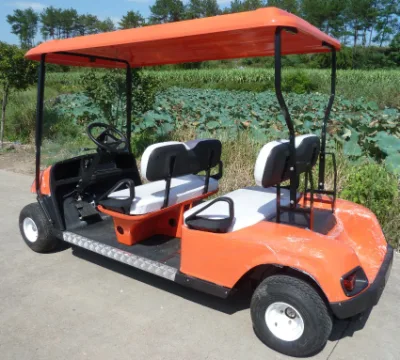Caza Tour cuatro ruedas robusto Color opcional modificación personalizada Carrito de Golf de coches eléctricos