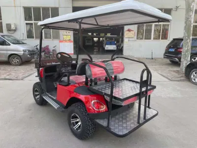 Suspensión independiente aluminio bastidor pedal de aluminio Carro de Golf eléctrico con Medidor profesional