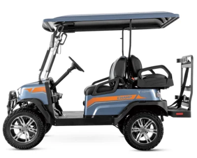 Mini coche eléctrico vehículo Buggy Golf Carts Golf Car