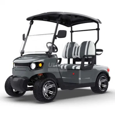Carrito de golf Ulela MFG 20-30 km/H Max Speed Golf Electric Carrito China 2 asientos personal Golf Cart