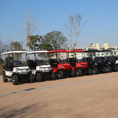 6 persona de lujo Buggy Hunter Sport Street Legal Electric Tourist Carrito de Golf