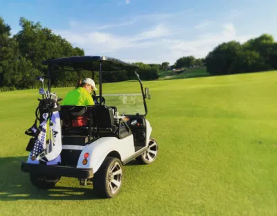 Venta de fábrica de carritos de golf eléctricos de 2 plazas para la venta. Buggy de golf con motor de corriente alterna.
