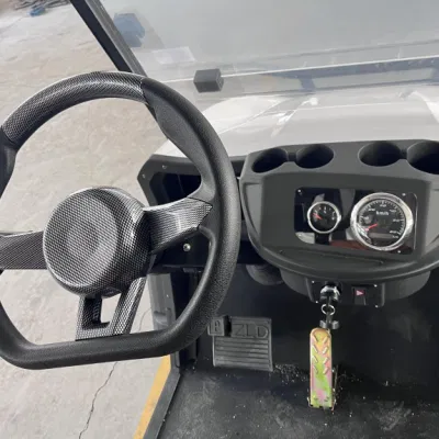 Nueva caza fuera de la carretera de la Cart 6 plazas Calle Legal Golf Carros alimentados por gas