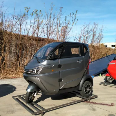 Nuevo coche eléctrico de 3 ruedas para Ancianos triciclo eléctrico con la CEE Coc Certificaciones