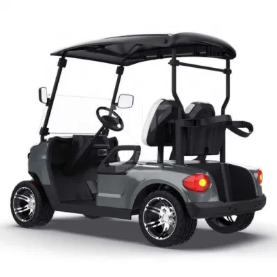 Carrito de golf Ulela MFG 20-30 km/H Max Speed Golf Electric Carrito China 2 asientos personal Golf Cart