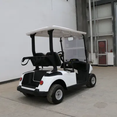 Hongchangda 72V 2/48V plazas Electric Evolution Golf Cart con CE Certificación