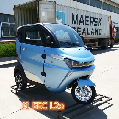 Nuevo coche eléctrico de 3 ruedas para Ancianos triciclo eléctrico con la CEE Coc Certificaciones