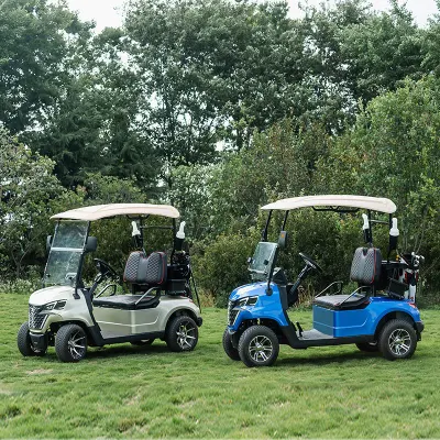 Super calidad Golf Buggy 2 asientos Forge G2 Electric Golf Carro