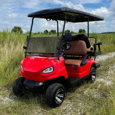 Comercio al por mayor de ancianos Custom Scooter eléctrico de baja velocidad 4 asientos para 6 carros de golf